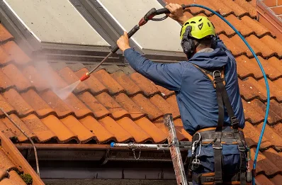 Démoussage et hydrofuge de toiture à Monthion